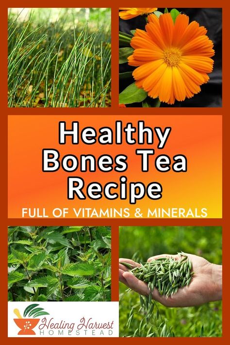 Holistic Medicine Recipes, Herbs For Bone Health, Herbs High In Calcium, Tea Benefits Chart Healing Herbs, Herbal Tea Benefits Healing Herbs, Immune Boosting Herbal Tea, Bone Healing, Herbal Tonic, Tea Blends Recipes