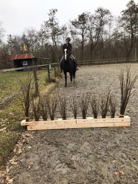 Pallet Horse Jumps, Jump Ideas For Horses, Horse Jump Diy, Cross Country Jumps Diy, Horse Obstacle Course Ideas Diy, Horse Jumps Ideas, Horse Paddock Ideas, Diy Horse Jumps, Horse Jump Ideas