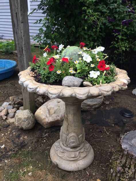 Old Bird Bath Ideas, Unique Yard Ideas, Birdbath Planter Ideas, Garden Ideas Plants, Birdbath Planter, Birdbath Garden, Bird Bath Planter, Patio Grande, Bird Bath Garden