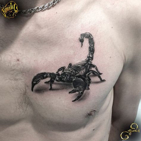 3d Scorpion Tattoo, Best 3d Tattoos, Lucky Tattoo, Ma Tattoo, Skull Hand Tattoo, Scorpio Tattoo, Insect Tattoo, Scorpion Tattoo, Stomach Tattoos