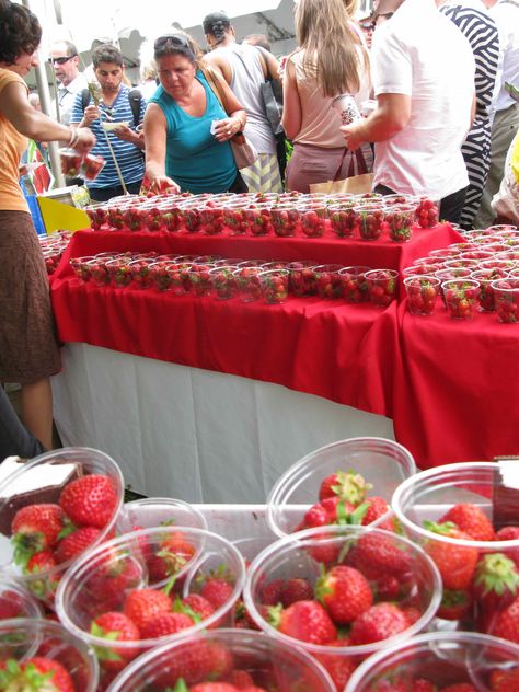 Strawberry season, Queens Park Farmers' Market, Ontario, Canada Farmers Market Chocolate Display, Strawberry Stand, Chocolate Display, Farming Tips, Farmers Market Display, Strawberry Festival, Strawberry Season, Market Display, Strawberry Patch