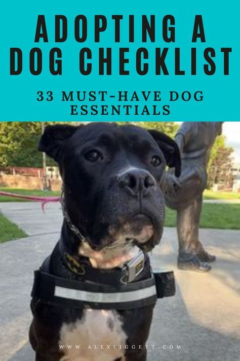 This post is all about how to prepare for adopting a dog and contains an adopting a dog checklist! Bringing home a dog from the shelter is an exciting time! It can also be stressful to adjust to new routines, and overwhelming to remember everything from the vet and the trainer. After adopting three of Adopting Dog, Dog Essentials Products, Shelter Dogs Adoption, Dog Necessities, Dog Crate Training, Dog Checklist, Dog Boutique Ideas, Animal Rescue Ideas, Adopt Dont Shop