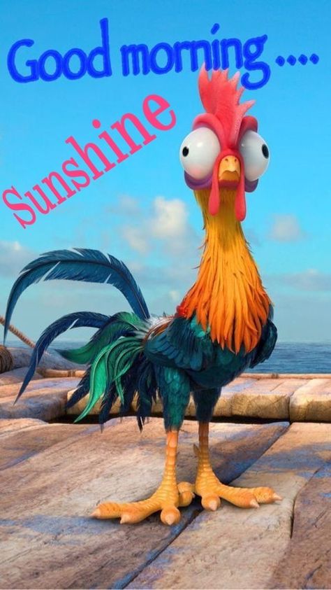 Hey Hey Moana, Moana Chicken, Flash Cartoon, Hei Hei Moana, Scared Funny, Wallpapers Beautiful, Images Disney, Wallpaper Disney, Good Morning Funny