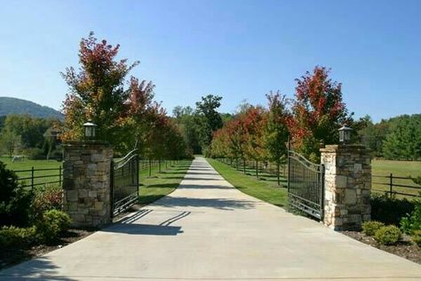 Driveway Gate Ideas, Landscape Driveway, Gated Driveway, Iron Gates Driveway, Driveway Entrance Landscaping, Long Driveway, Farm Entrance, Ranch Gates, Tree Lined Driveway