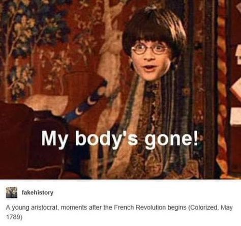 Life Imitates Art, History Humour, Historical Humor, Classical Art Memes, History Jokes, The French Revolution, Ap World History, History Nerd, Quality Memes