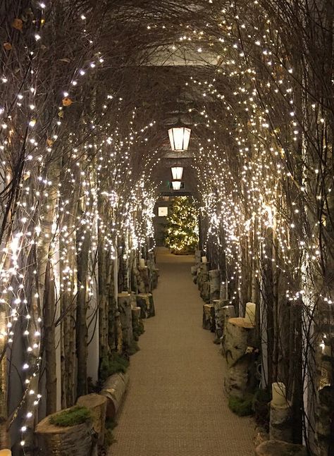 The Forest restaurant, Selfridges London.  Would love something like this in a garden, a gazebo maybe? Enchanted Wedding Decor, Forest Restaurant, Custard Creams, Restaurant Entrance, Organic Restaurant, Enchanted Forest Theme, Selfridges London, Bakery Interior, Forest Theme Wedding