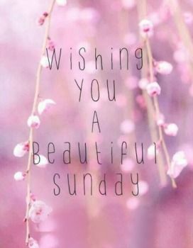 Happy Sunday. Adore Aesthetic, Sunday Quotes Funny, Sunday Greetings, Quotes Dream, Hello Sunday, Happy Weekend Quotes, Weekday Quotes, Weekend Quotes, Beautiful Sunday