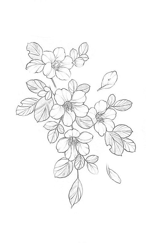 Outline Flowers Tattoo, Flower Sketch Reference, Floral Design Outline, Flowers Outline Design, Japanese Flower Outline, Flower Tattoo Outline Drawing, Blossom Flower Tattoo Design, Cherry Blossom Outline Tattoo, Cherry Blossom Flowers Tattoo