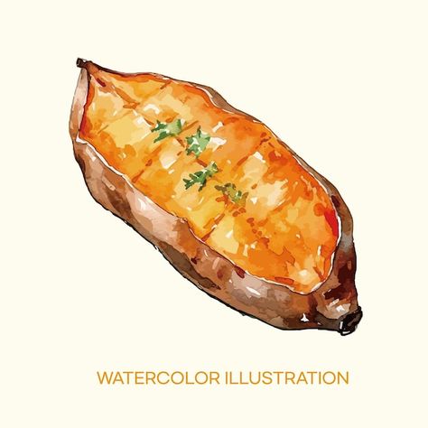 Watercolor illustration of sweet potato | Premium Vector #Freepik #vector #potato #potatoes #savory #water-color Sweet Potato Painting, Sweet Potato Brulee, Potato Drawing, Potato Print, Animal Based, Sweet Potatoes, Watercolor Illustration, Premium Vector, Sweet Potato