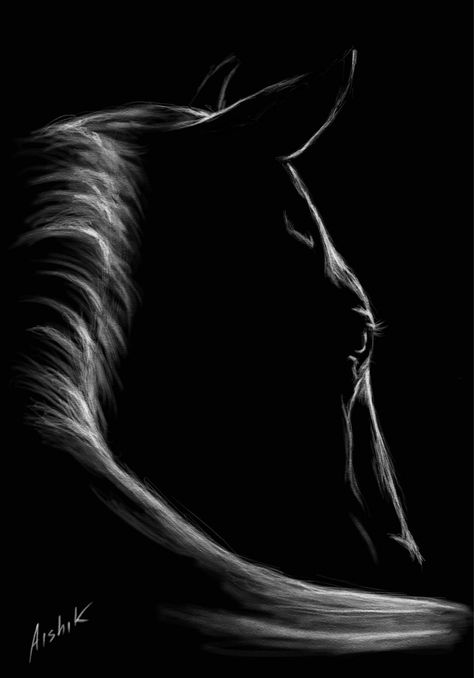 Horse Painting On Black Canvas, Black And White Horse Drawing, Horse Drawing On Black Paper, Horse Silhouette Painting, White Charcoal Drawing On Black Paper, Black Horse Drawing, Charcoal Drawing Ideas For Beginners, Black And White Horse Painting, Black And White Horse Art