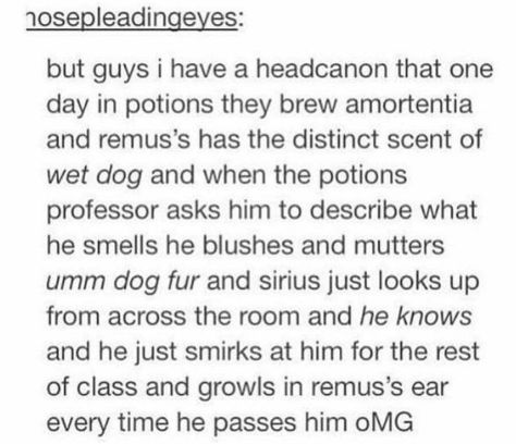 Sirius And Remus, Funny Couple Pictures, Remus And Sirius, Gay Harry Potter, Yer A Wizard Harry, Harry Potter Ships, Funny Couple, Harry Potter Headcannons, Memes Hilarious