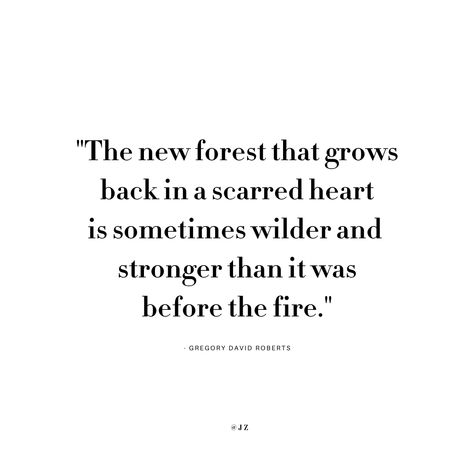 “The new forest that grows back in a scarred heart is sometimes wilder and stronger than it was before the fire.” - Gregory David Roberts, from ‘The Mountain Shadow’ | Quotes | Inspirational Quotes | Grief Quotes | Poetry | Wisdom Gregory David Roberts Quotes, Shadow Quotes, Forest Quotes, Mindset Quotes Positive, David Roberts, The New Forest, Quotes Poetry, Growth Quotes, New Forest