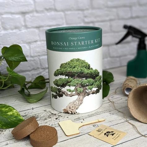 Bonsai Starter Kit! 🧑‍🌾 Immerse yourself in Bonsai cultivation with this Starter Kit, which is perfect for beginners and plant lovers. Transform any space into a Bonsai haven with 4 biodegradable pots, seeds, labels, coir pellets, a water sprayer, and a growing manual. Cultivate Black Pine, Red Maple, Wisteria, and Black Cherry for a vibrant collection! Cherry Seeds, Peat Pots, Black Pine, Orange Grove, Water Sprayer, Red Maple, Bonsai Garden, Seed Packets, Black Cherry