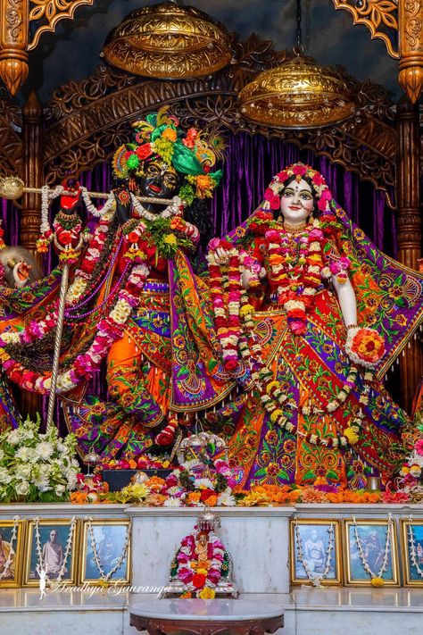 Iskon Mayapur Radha Krishna, Iskon Radha Krishna Murti, Radha Madhav Iskcon Mayapur, Shree Krishna Wallpaper, Radhe Krishna Photo, Lord Shree Krishna, Ambani Family, Iskcon Mayapur, Iskcon Krishna