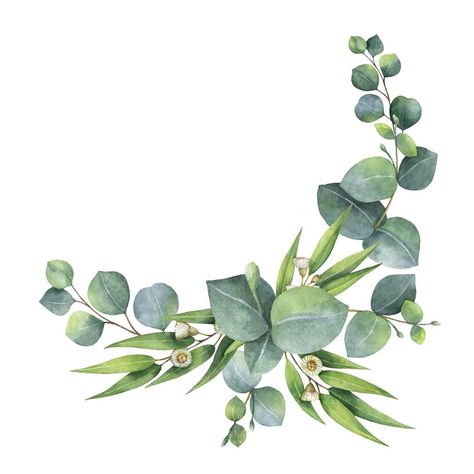 ☘️What is your favourite shape of eucalyptus leaf? There are so many beautiful options!⁠⠀ ⁠⠀ #thelinenpress #eucalyptus #australia #native… Silver Dollar Eucalyptus, Victorian Flowers, Watercolor Bouquet, Eucalyptus Leaves, Leaf Art, Watercolor Cards, Watercolor Illustration, Floral Watercolor, Watercolor Flowers