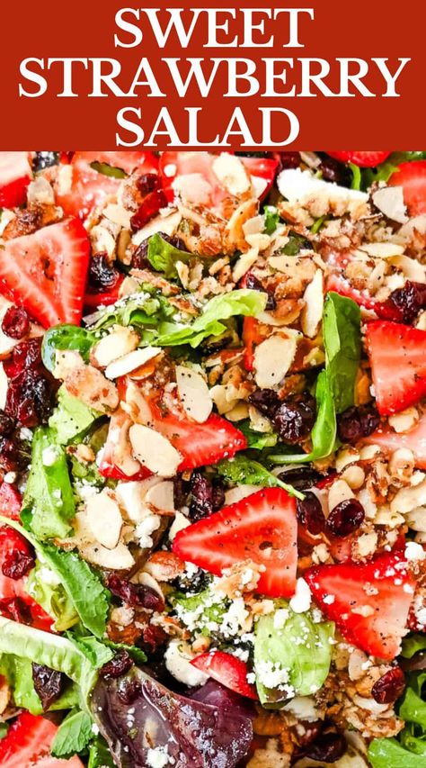 Strawberry Spring Mix Salad, Spring Mix Strawberry Salad Recipes, Salads With Spring Mix Lettuce, Homemade Poppyseed Dressing, Spring Mix Salad Recipes, Salad Guide, Poppyseed Salad Dressing, Sweet Salad Dressings, Strawberry Poppyseed Salad