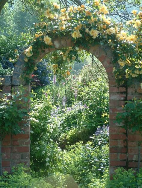 숲 사진, Nature Aesthetic, Pretty Places, Green Aesthetic, Dream Garden, Clematis, Cottage Garden, Garden Inspiration, Garden Arch