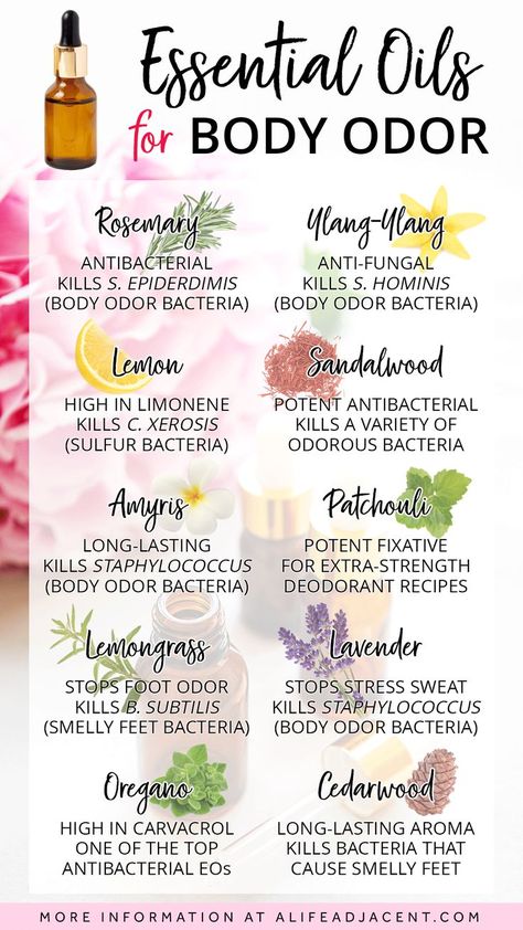 Get rid of body odor naturally – discover the BEST essential oils for body odor with this handy infographic. These antibacterial essential oils are proven natural remedies for smelly armpits and feet, and help prevent stinky sweat, stress sweat, and other sources of bad odor. Read the full guide at ALifeAdjacent.com to learn more + discover the benefits and uses. #essentialoils Natural Antibacterial For Skin, Diy Essential Oil Deodorant, Body Odor Hacks, Best Oils For Body Skin Care, Diy Body Oil With Essential Oils, Essential Body Oils, Body Odor Remedies, Sweating Remedies, Odor Remedies