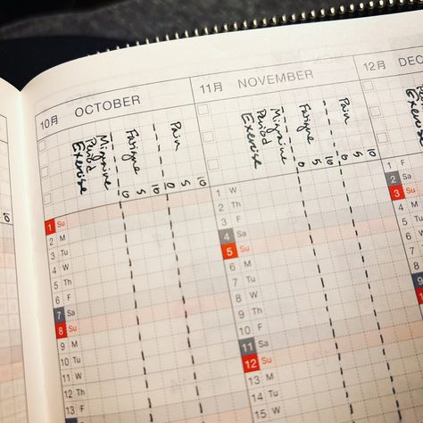 Hobonichi My 100 Ideas, Hobonichi Cousin Setup, Hobonichi Cousin Memory Keeping, Hobonichi Weeks Memory Keeping, Aiims Delhi, Hobonichi Techo Layout, Common Planner, Hobonichi Original, Hobonichi Techo Original