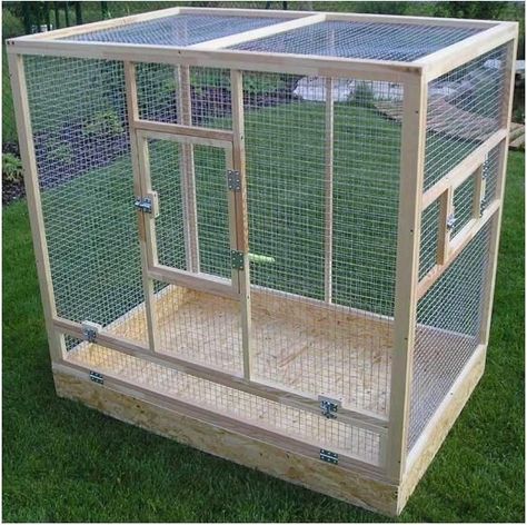 Bird Cage Diy, Best Pet Birds, Pigeon Cage, Diy Bird Cage, Bird Cage Design, Diy Bird Toys, Parakeet Cage, Pet Bird Cage, Large Bird Cages