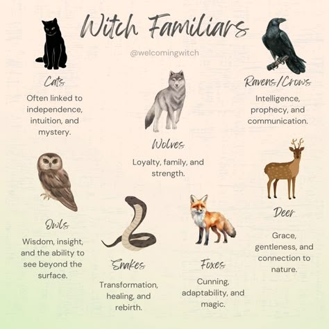 Happy International Cat Day! There’s something truly magical about the bond between humans and animals. Have you ever felt a strong connection to a particular animal? The crow, with its sleek black feathers and piercing gaze, has long been revered as a symbol of wisdom, prophecy, and communication. This intelligent and adaptable bird is a powerful spirit animal, offering guidance and insight into the mysteries of the world. This is the animal that I feel most connected to! Share your spir... Crow Symbolism, Crow Magic, Black Cat Familiar, Spirit Animals Book, Raven Spirit Animal, Wolf Symbolism, Crow Spirit Animal, Bird Symbolism, Cat Symbolism