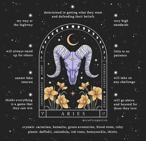 Aries Personality Traits, Witchcraft Store, Sagittarius Virgo, Saturn Sign, Aquarius Aries, Aries Personality, Wiccan Sabbats, Aries Baby, Aries Zodiac Facts