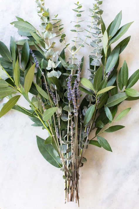 eucalyptus and lavender Eucalyptus In The Shower, Shower Bundles, Hanging Eucalyptus, Eucalyptus And Lavender, Fresh Eucalyptus, Flower Bouquet Diy, Silver Dollar Eucalyptus, Diy Shower, Lavender Sachets