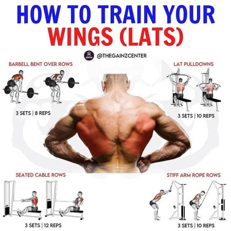 ⭐ FITNESS I NUTRITION I DIET ⭐ on Instagram: “🦅 Which Is Your Favourite WINGS Exercise? 🦅 workout made by @thegainzcenter⠀⁣⁣ ⁣⁣ 📥 Be sure to save this workout for later!⁣⁣ ⁣⁣…” Big Back Workout, Lat Workout, Wings Workout, Back Workout Bodybuilding, Back Workout Men, Gym Back Workout, Back Workout Routine, Good Back Workouts, Gym Workout Chart