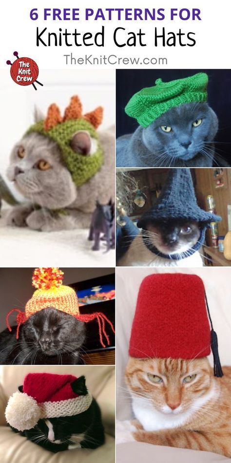 Knitted Cat Clothes, Free Knitting Patterns For Cats, Knitted Hat For Cat Pattern Free, Loom Knit Cat Hat, Cat Knit Hat, Knit Cat Hat Pattern Free, Knitting For Cats, Cat Hat Pattern Free, Crochet Hat For Cat Pattern Free