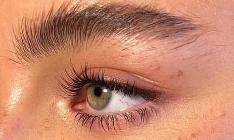 Before and after photos show how effective serum is at helping create naturally thicker lashes  | Daily Mail Online Brow Growth, Brow Growth Serum, Eyebrow Serum, Thick Lashes, Growth Serum, After Photos, Daily Mail, Eyebrows, Lashes