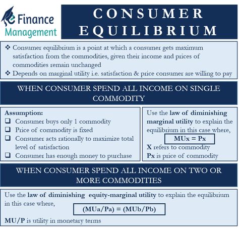 Microeconomics Study, Learn Economics, Accounting Notes, Consumer Law, Economics Notes, Project Cover, Accounting Education, Economic Terms, Consumer Math