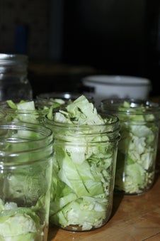 How to Can Cabbage : 5 Steps (with Pictures) - Instructables Pressure Canning Cabbage Recipes, Canning Cabbage Pressure, Canning Pickled Cabbage Recipe, Canning Cabbage Soup Recipes, How To Preserve Fresh Cabbage, Pickled Cabbage Canning, Canning Cabbage Recipes Water Bath, Canning Cabbage Water Bath, Cabbage Canning Recipes