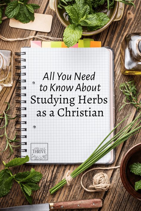 Christian Herbalist, Christian Witch, Sinus Infection Remedies, Natural Remedies For Allergies, Best Way To Study, Herbal Education, Medicine Book, Herbal Apothecary, Herbal Healing