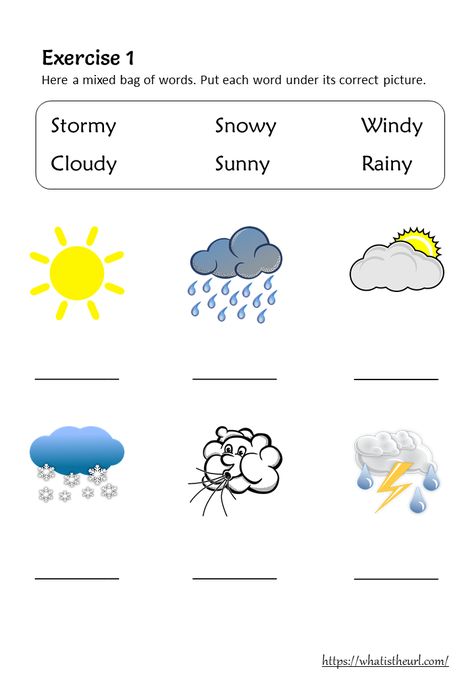 Weather Vocabulary and Worksheets for Grade 1 First Grade Weather, Ingles Kids, Worksheets For Grade 1, Seasons Worksheets, Weather Worksheets, Preschool Weather, Weather Vocabulary, Weather Words, English Worksheets For Kindergarten