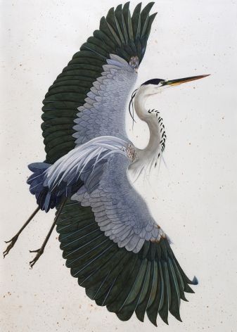 Heron Tattoo, Crane Tattoo, Heron Art, Cabin Art, Desenho Tattoo, Arte Inspo, Blue Heron, Bird Drawings, Birds Painting