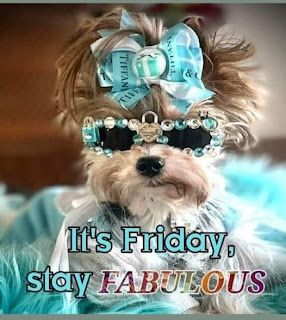 Have A Fabulous Friday, Friday Quote, Fabulous Friday, Heather Stillufsen, Life Friends, Morning Quotes Funny, Good Morning World, Morning Pics, Only Live Once