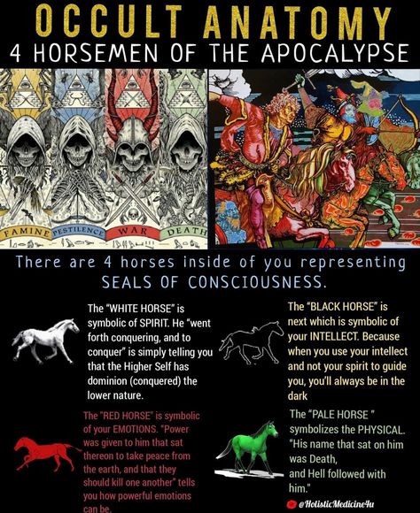 Pestilence Horseman, Horseman Of The Apocalypse, Pale Horse, Horsemen Of The Apocalypse, The Apocalypse, World Religions, White Horses, Black Horse, White Horse