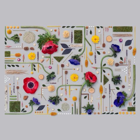 Kristen Meyer on Instagram: “Natural Order New puzzle coming atcha! Commissioned artwork for @bluekazoogames puzzle Artist Series. See my stories for behind the scenes…” Knolling Photography, Botanical Collage, Creative Wall Art, Flower Window, Multimedia Artist, Photography Series, New Puzzle, Commissioned Artwork, Grand Art