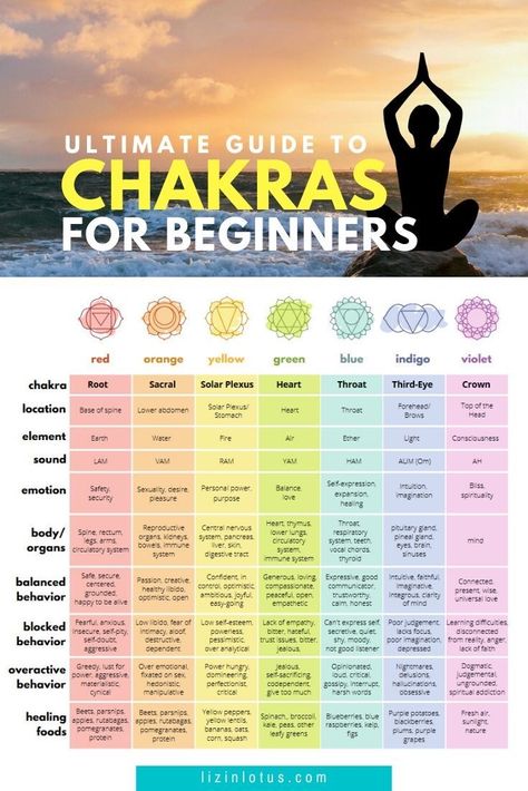 Chakras For Beginners, Chakra For Beginners, Chakra Guide, Chakra Meanings, Vishuddha Chakra, Chakra Chart, Manipura Chakra, Chakra Health, Magia Das Ervas