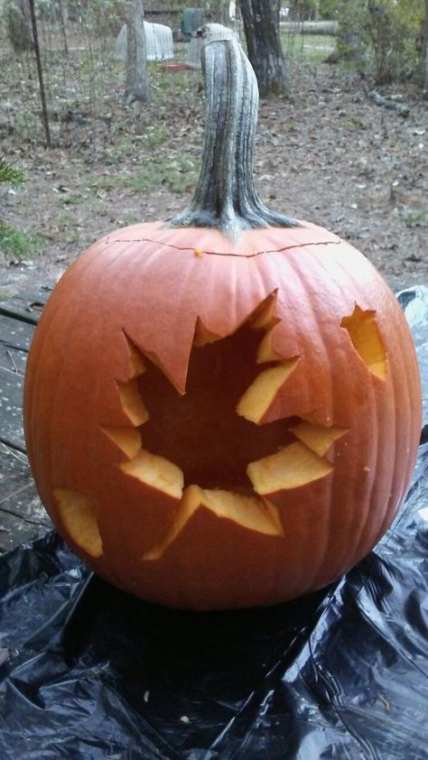 Maple leaf with acorns, the perfect fall theme. Pumpkin Carving Ideas Fall Leaves, Maple Leaf Pumpkin Carving, Pumpkin Carving Leaves, Leaves Pumpkin Carving, Leaf Pumpkin Carving, Thanksgiving Pumpkin Carving, Diy Pumpkin Carving, Leaf Pumpkin, Cute Pumpkin Carving