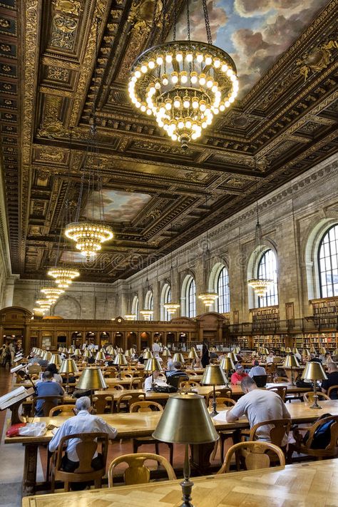 Library Editorial, Ny Library, Nyc Library, Ny Public Library, Harvard Library, Public Library Design, New York Library, Romanticising School, Law School Inspiration