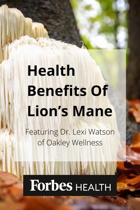 I’ve been featured in Forbes Health talking about the benefits of Lion’s Mane mushroom for brain health! #BuildABetterBrain #BrainHealth #OptimizeBrainHealth #LionsManeForTheBrain #ForbesHealth #HealthTips #HealthyLiving #HealthyLifestyle #AntiagingTips #Brain Lion Main Mushrooms Benefits, Lion’s Mane Benefits, Lions Mane Mushroom Benefits, Lion Mane Mushroom, Lions Mane Benefits, Lion's Mane Mushroom, Mushroom Benefits, Lions Mane, Holistic Diet