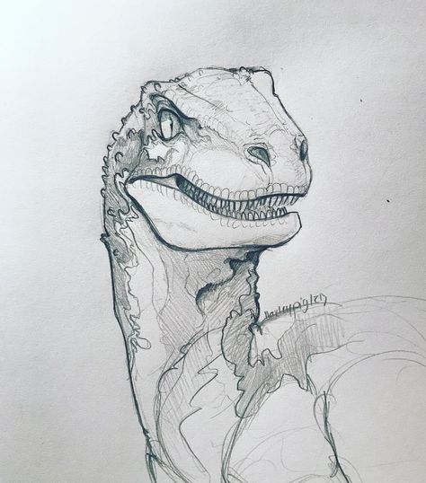 Dinosaur Head Drawing, Raptor Sketch, Velociraptor Drawing, Dino Sketch, Dino Drawing, Dinosaur Sketch, Arte Grunge, Dinosaur Drawing, Dragon Sketch