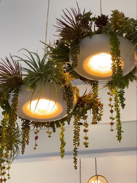 Plants And Lights Decor, Jungle Light Fixture, Air Plant Chandelier, Lights With Plants Hanging, Plant Pendant Light, Interior Plants Design, Hanging Plant Light, Planter Chandelier, Santa Fe Bathroom