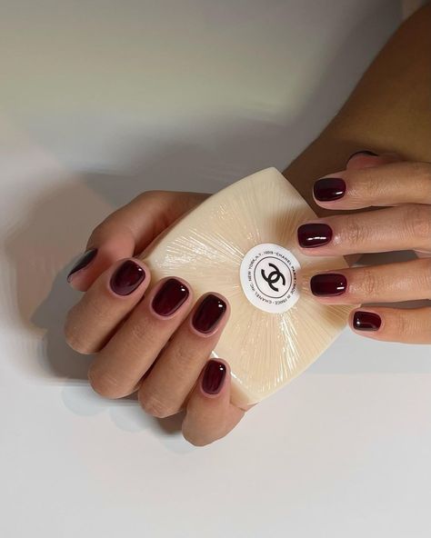 Harriet Westmoreland on Instagram: “@biosculpturegelgb shade - Pinotage ♥️ @chanel.beauty @welovecoco hand care #naturalnails #biosculpturegel” Harriet Westmoreland Nails, White Lines On Nails, Work Appropriate Nails, Burgundy Nail Polish, New Nail Colors, Plum Nails, Rainbow Nails Design, Chanel Nail Polish, Minimalist Nail Art