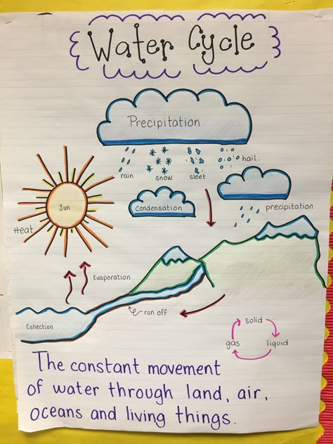 Water cycle anchor chart Water Cycle Anchor Chart 2nd Grade, Water Cycle 2nd Grade, The Water Cycle Anchor Chart, Water Cycle Poster Ideas, Water Cycle 3rd Grade, Water Cycle Poster Project For Kids, Water Cycle For Preschoolers, Water Cycle Project Poster, Water Cycle Chart