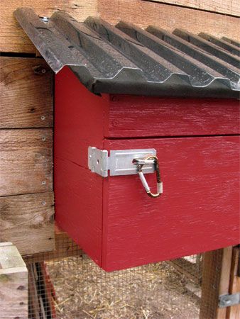 Predator-Proof Nesting Box Latch Movable Chicken Run, Chicken Run Roof, Raising Chickens For Beginners, Nesting Boxes Diy, Chickens For Beginners, Nest Boxes, Chicken Coup, Chicken Nesting Boxes, Coop Design