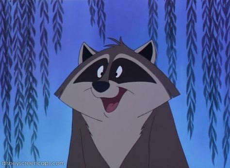 Meeko (Pocahontas' Raccoon) Meeko Pocahontas, Disney Sidekicks, Pocahontas Disney, Disney Sleeve, Animation Stop Motion, Disney Wiki, Scenic Wallpaper, Disney Emoji, Disney Pocahontas