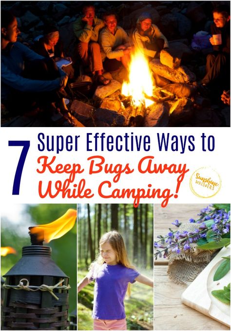 Here are seven super effective ways to keep the bugs away while you're camping! Ewwww, Bugs! Even the biggest fan of camping hates bugs. Here are some sure-fire tips to keep the bugs away so you can enjoy mother nature while keeping the bugs away! #camping #campingtips #campinghacks #campingideas #familycamping Tent At Night, Camping In The Rain, Natural Bug Repellent, Google Search Console, Art Therapy Projects, Kid Friendly Trips, Camping Checklist, Hacks And Tips, Camping Activities