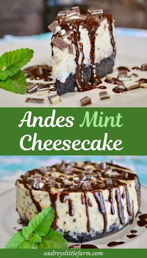 Andes Mint Cheesecake, Award Winning Desserts, Best Cheesecake Recipes, Mint Desserts, Mint Cheesecake, The Best Cheesecake, Andes Mint, Brownie Desserts, Best Cheesecake